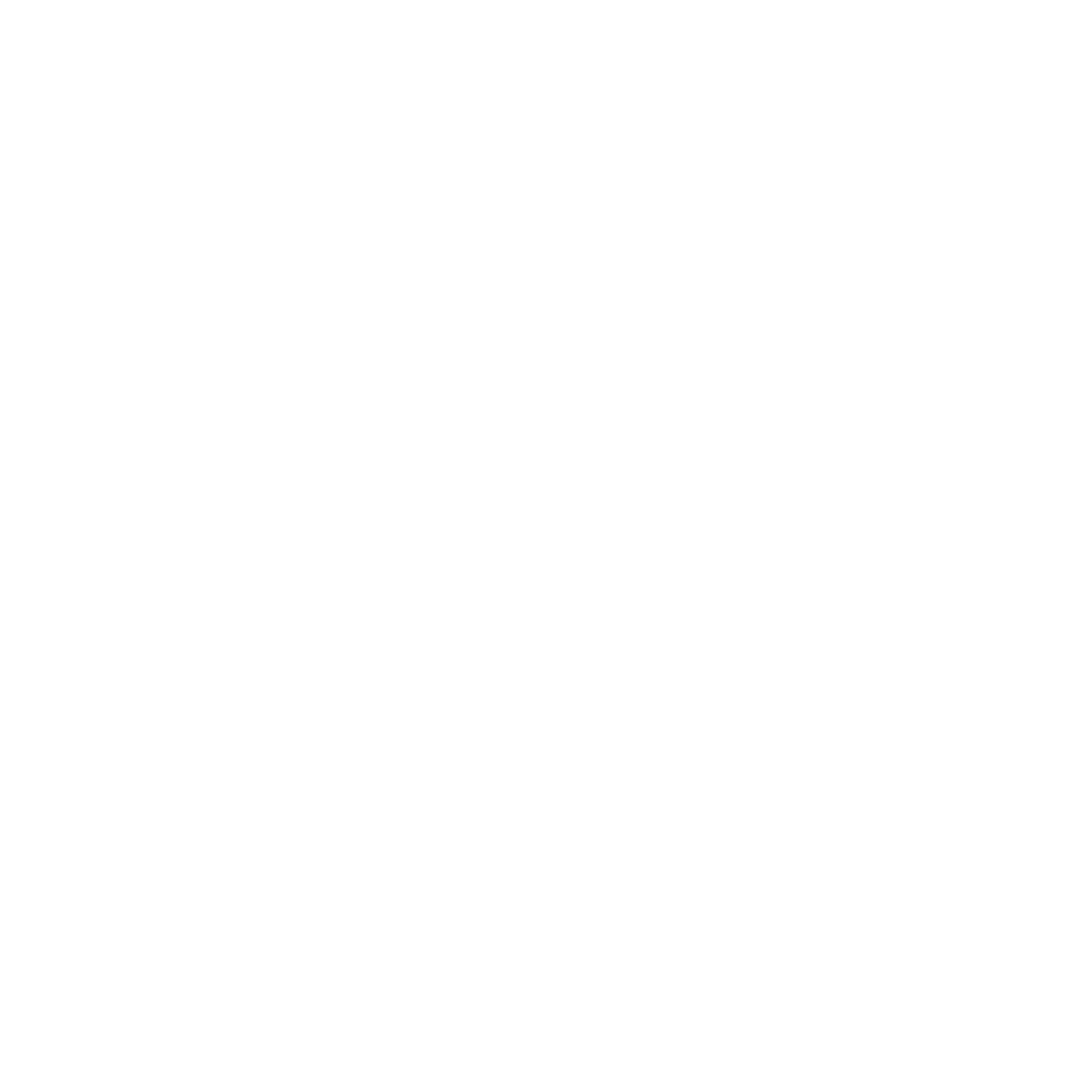 Sunshine Coast Segway Tours